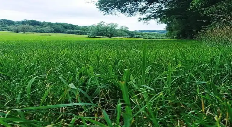 Apartment in Barvaux-sur-Ourthe