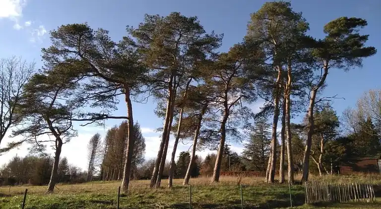 Apartment in Barvaux-sur-Ourthe