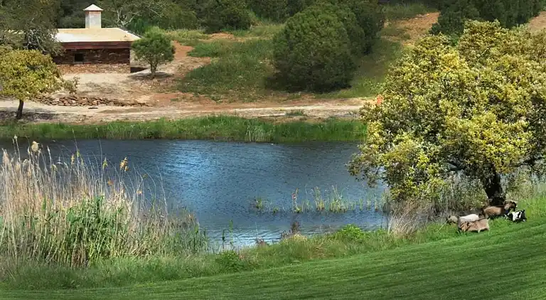 Manor house in São Sebastião da Giesteira