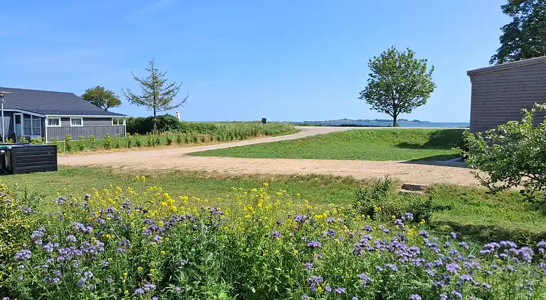 Hyggeligt sommerhus tæt på strand og skov