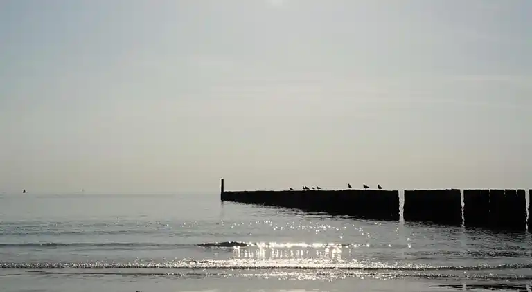 Sommerhus i Heinkenszand