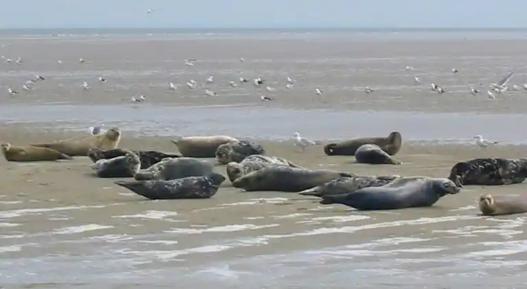 Villa au Hippolytushoef