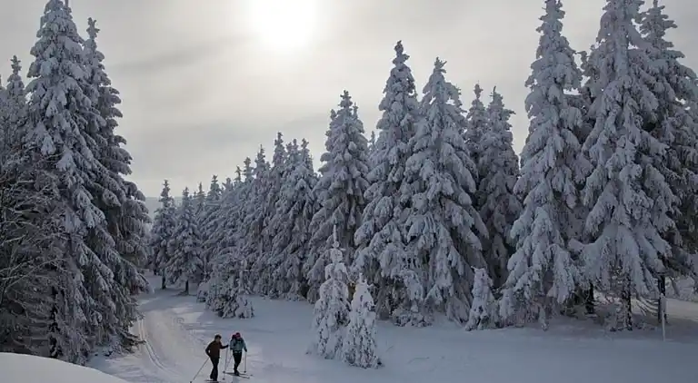 Ferielejlighed i Ense