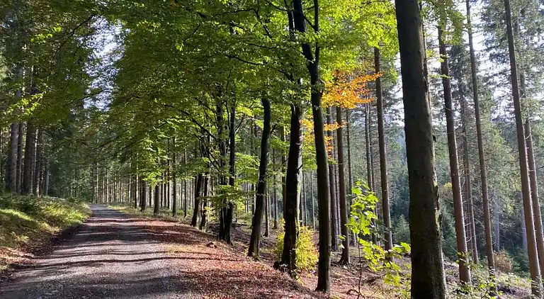 Apartment in Winterberg