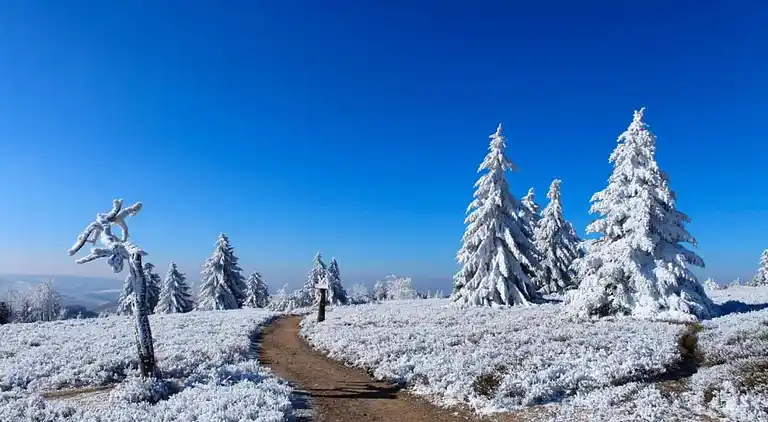 Apartment in Winterberg