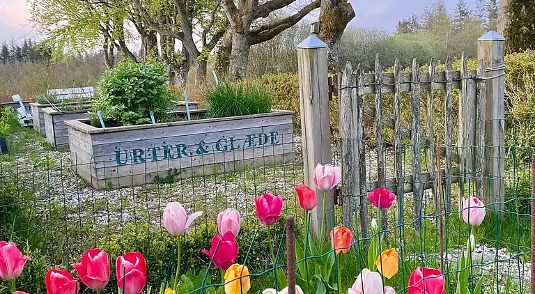 Farmhaus in Frøstrup