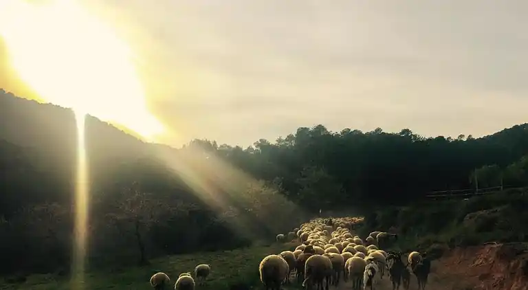 Hytte i Sant Salvador de Guardiola