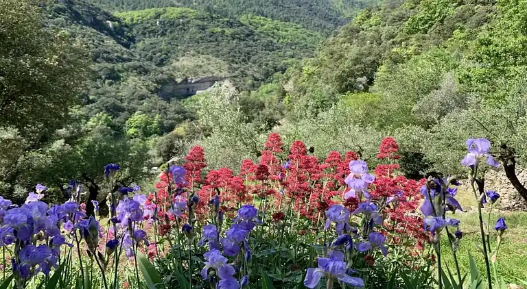 Casa de vacaciones en Les Vans
