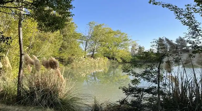 Apartment in Provence