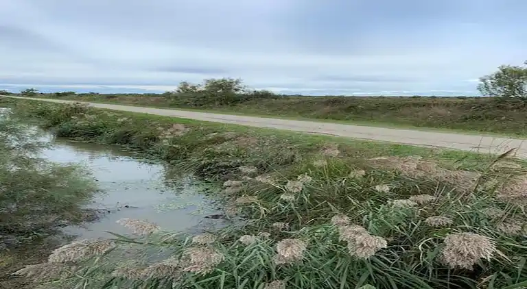 Ferielejlighed i Arles