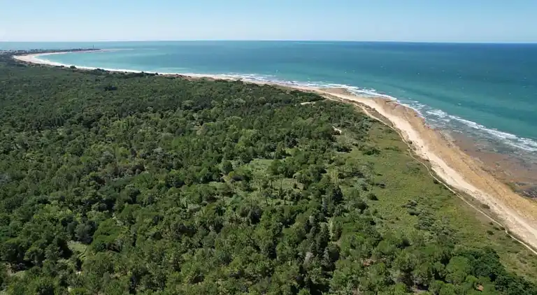 Ferielejlighed i Rivedoux-Plage