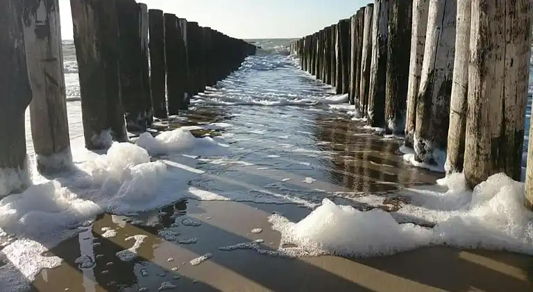 Ferielejlighed i Rivedoux-Plage