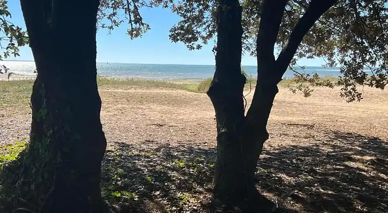 Ferielejlighed i Rivedoux-Plage