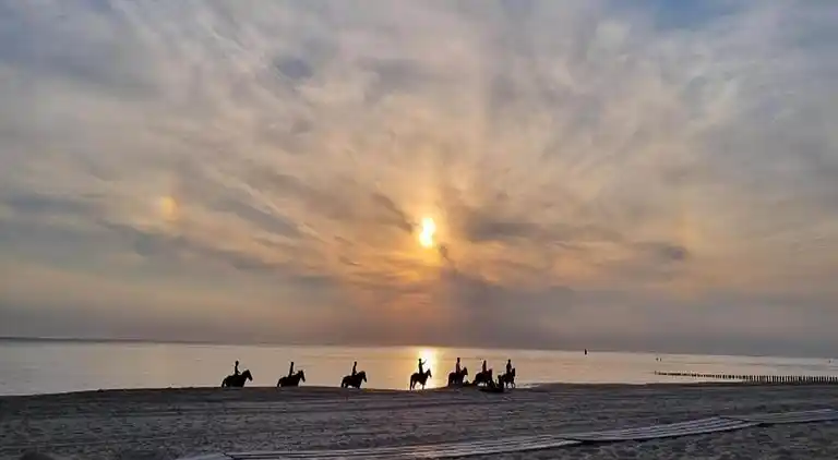Ferielejlighed i Rivedoux-Plage
