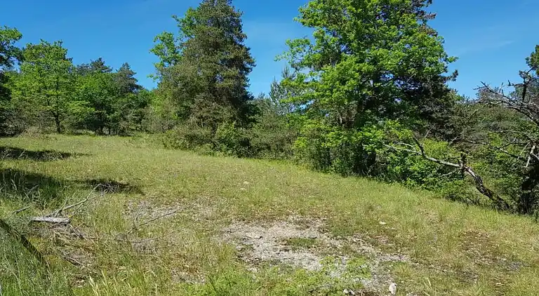 Holiday home in Montignac