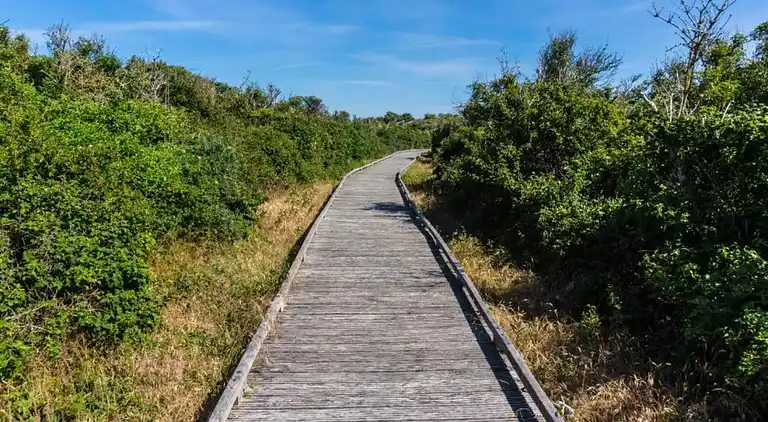 Ferielejlighed i Oye-Plage