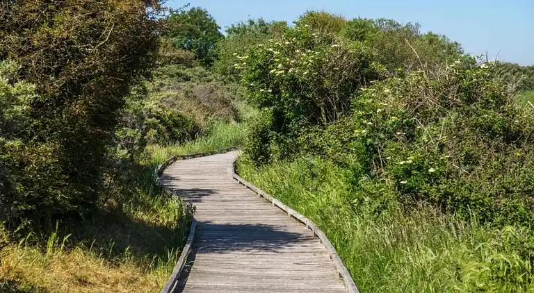 Ferielejlighed i Oye-Plage