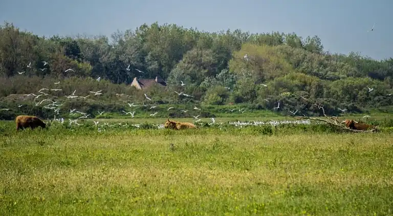 Ferielejlighed i Oye-Plage