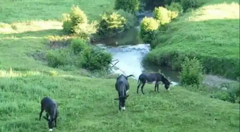 Ferielejlighed i Bonloc