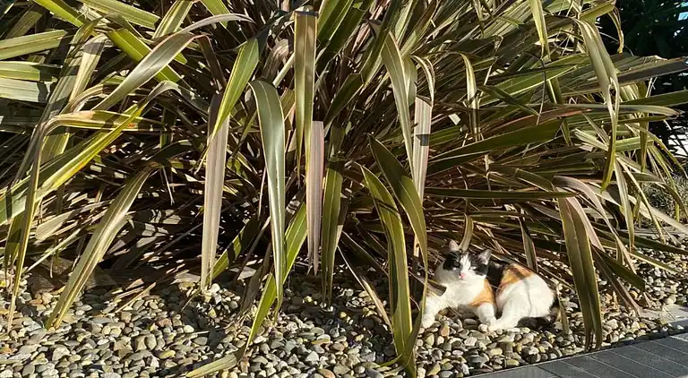 Ferielejlighed i Bonloc