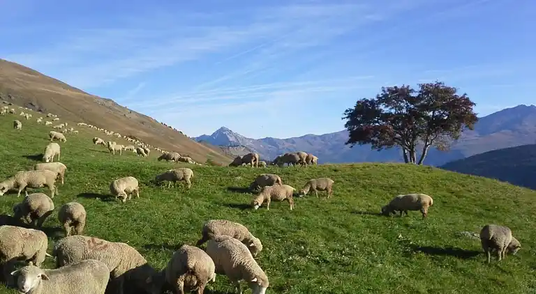 Ferielejlighed i Valloire