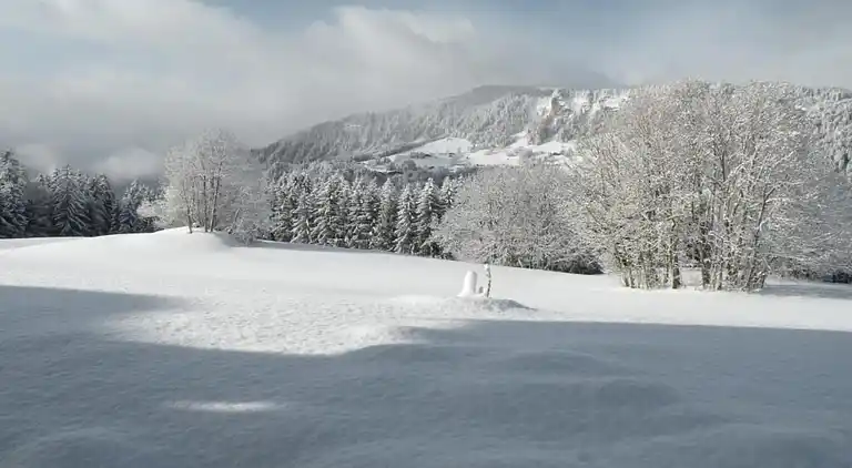 Ferielejlighed i Flumet