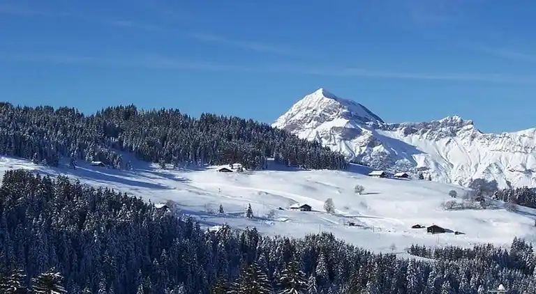 Ferielejlighed i Flumet