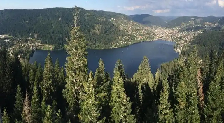 Cottage in La Bresse