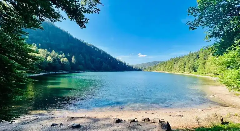 Cottage in La Bresse