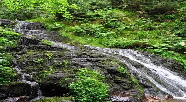 Cottage in La Bresse