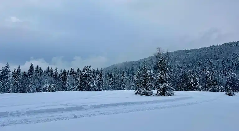 Cottage in La Bresse