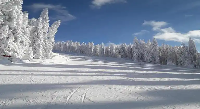 Manor house in Höllberg