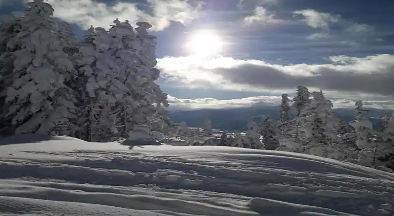 Manor house in Höllberg