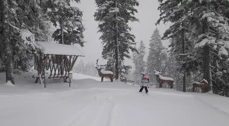 Manor house in Höllberg