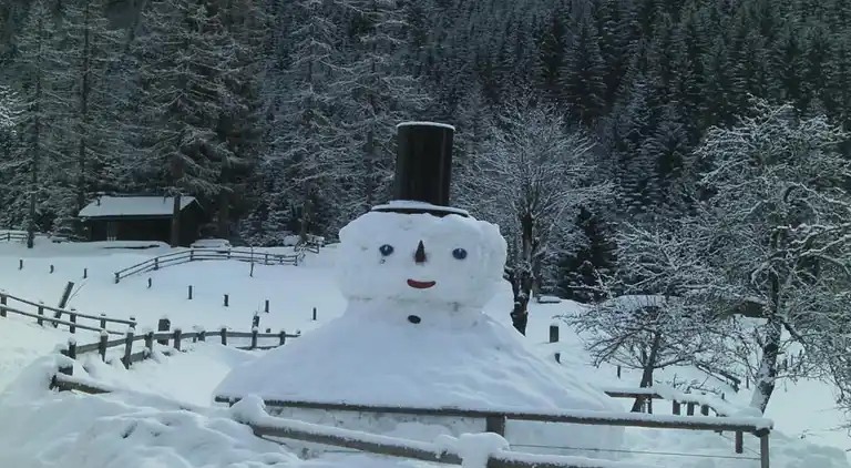 Manor house in Höllberg