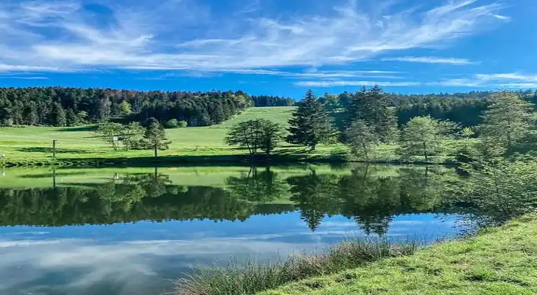 Ferielejlighed i Herrischried