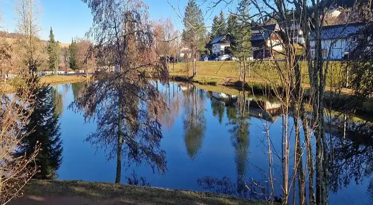 Ferielejlighed i Herrischried