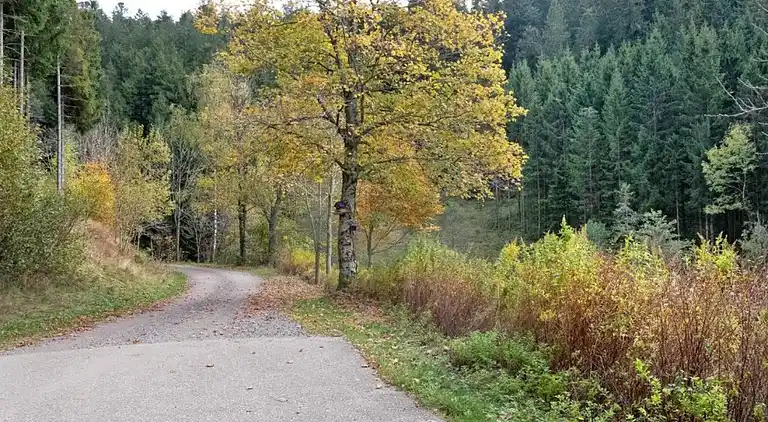 Ferielejlighed i Herrischried