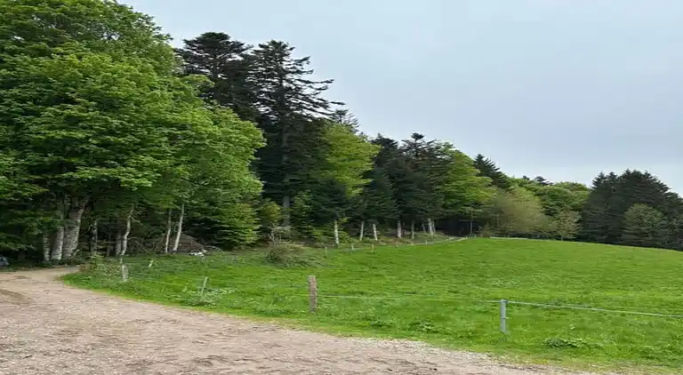 Ferielejlighed i Herrischried