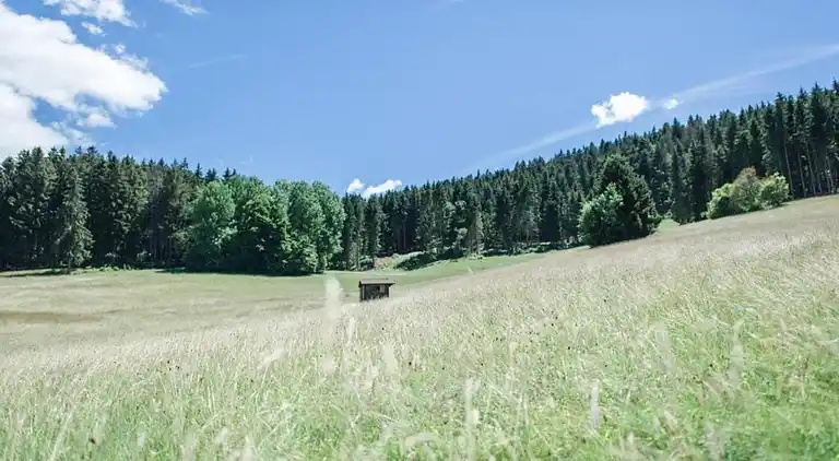 Ferielejlighed i Herrischried