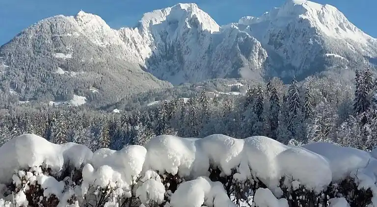 Apartment in Schönau am Königssee