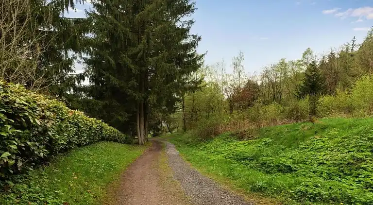 Sommerhus i Altersbach