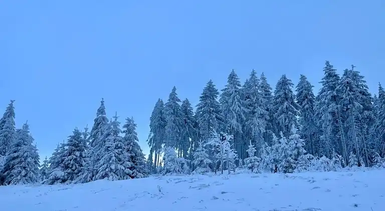 Sommerhus i Altersbach