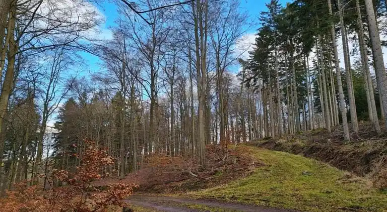 Sommerhus i Altersbach