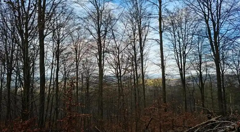 Sommerhus i Altersbach