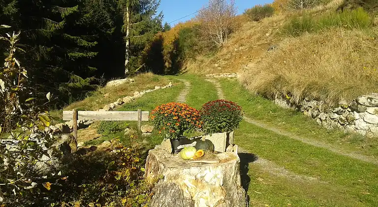 Farm house in Cros-de-Géorand