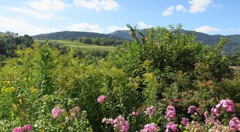 Holiday home in Les Amarats