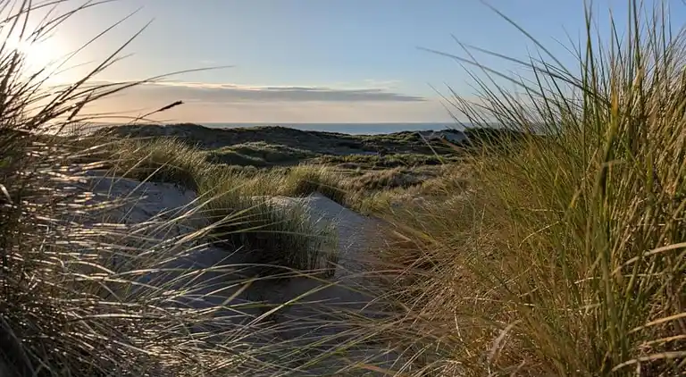 Holiday home in Les Amarats