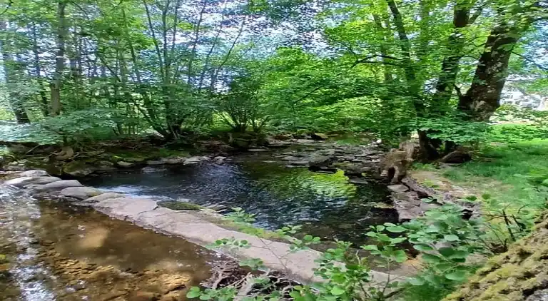 Holiday home in Les Amarats