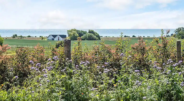 Sommerhus i Ebeltoft